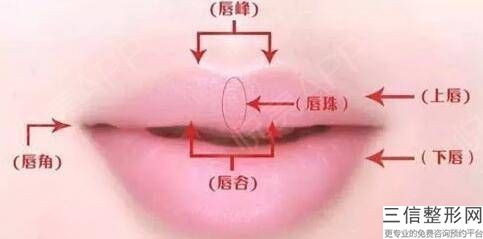 紋繡漂唇能堅持保持多久？顯不顯著