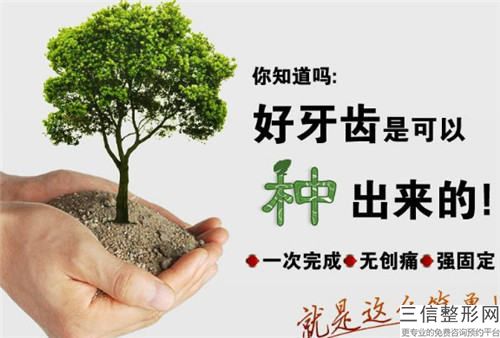 昭通插接式種植牙大概費用價位